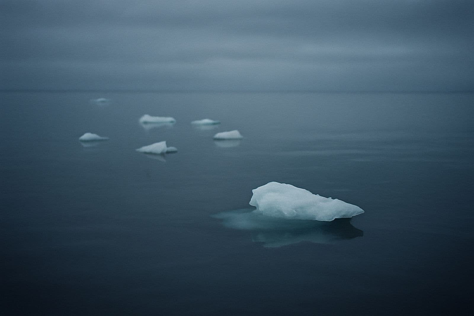 Small pieces of glacial ice floating on still dark water
